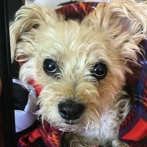 Meet your Posher, Jj